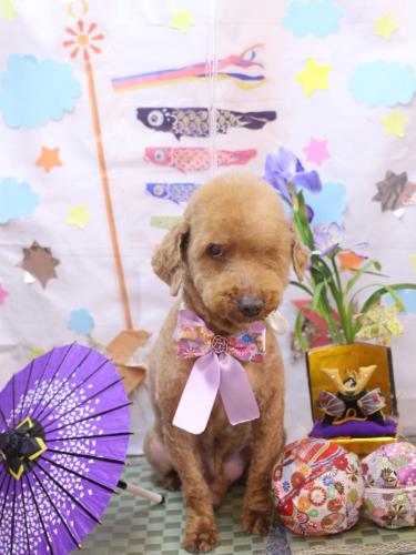 20240521ロンくん